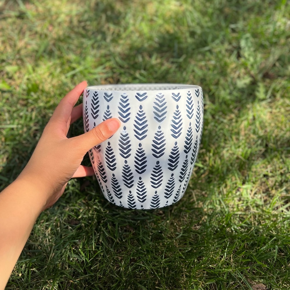 Plant Pot 🪴